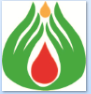 China blister foil manufacturer